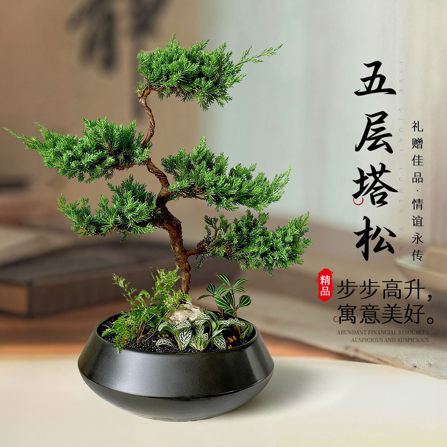 五层塔松盆栽乔迁新居送礼礼物