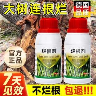 强力大树烂根药除大树专用药枯树王腐树根除草竹子烂根剂粉正品