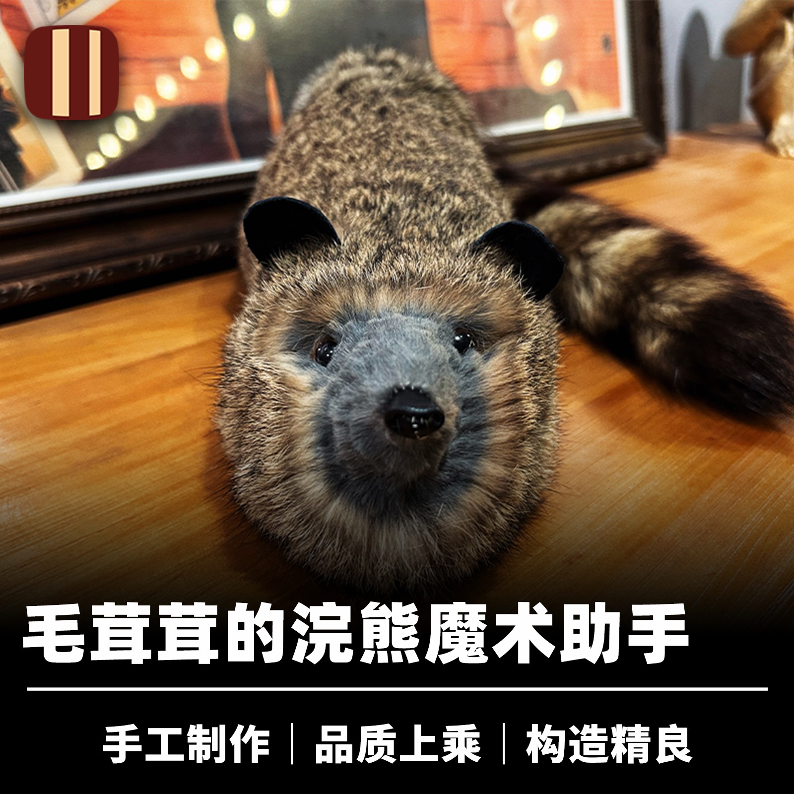 培根魔术魔术浣熊Oliver