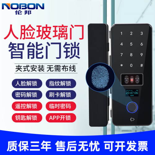 伦邦人脸识别指纹密码刷卡玻璃门