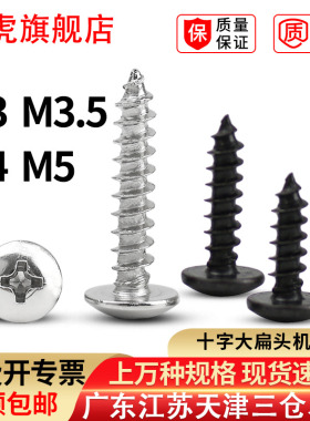 大扁头自攻螺丝钉十字大盘头自攻螺钉伞头蘑菇头TA3M3.5M4M5镍黑