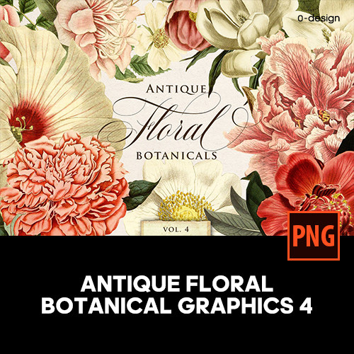 50款稀有复古宫廷植物花卉装饰图案印花纹样png免抠图片设计素材