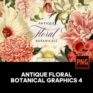 50款 饰图案印花纹样png免抠图片设计素材 稀有复古宫廷植物花卉装