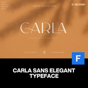 饰字体设计素材 海报杂志logo标题装 Carla Sans现代简约优雅时尚
