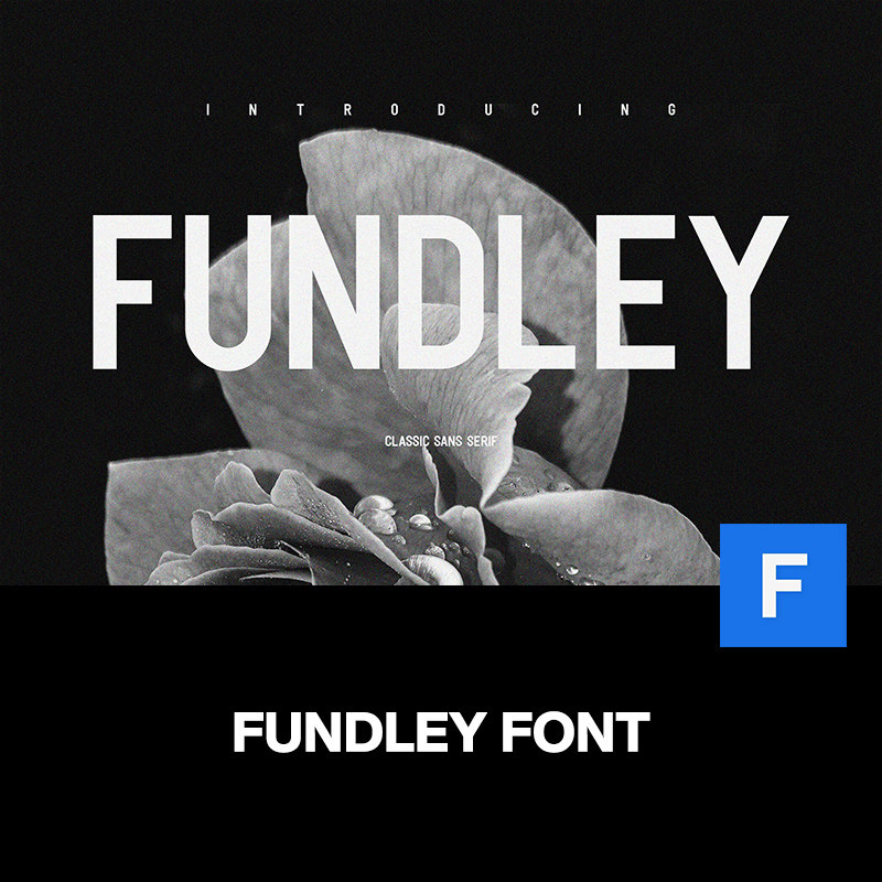 fundley现代黑体简约粗体字品牌logo海报杂志标题无衬线英文字体