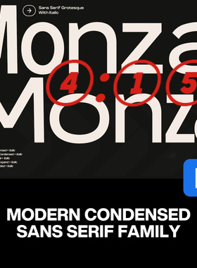 80款Monza现代简约品牌logo标识UI设计包装无衬线英文字体家族