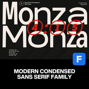 80款Monza现代简约品牌logo标识UI设计包装无衬线英文字体家族