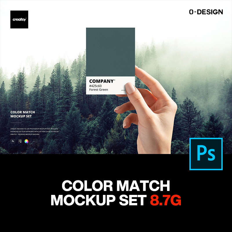 pantone潘通色卡色彩配色方案vi设计贴图ps样机素材展示效果模板