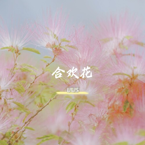 仙气少女恋爱的味道 合心则欢淡雅清新持久留香淡香水
