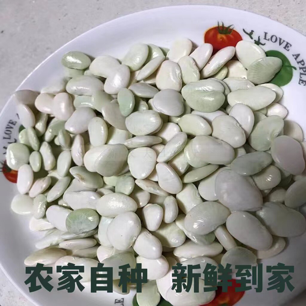 洋扁豆白芸豆洋豆新鲜采摘白豆农家自种剥壳真空250g白玉豆白扁豆