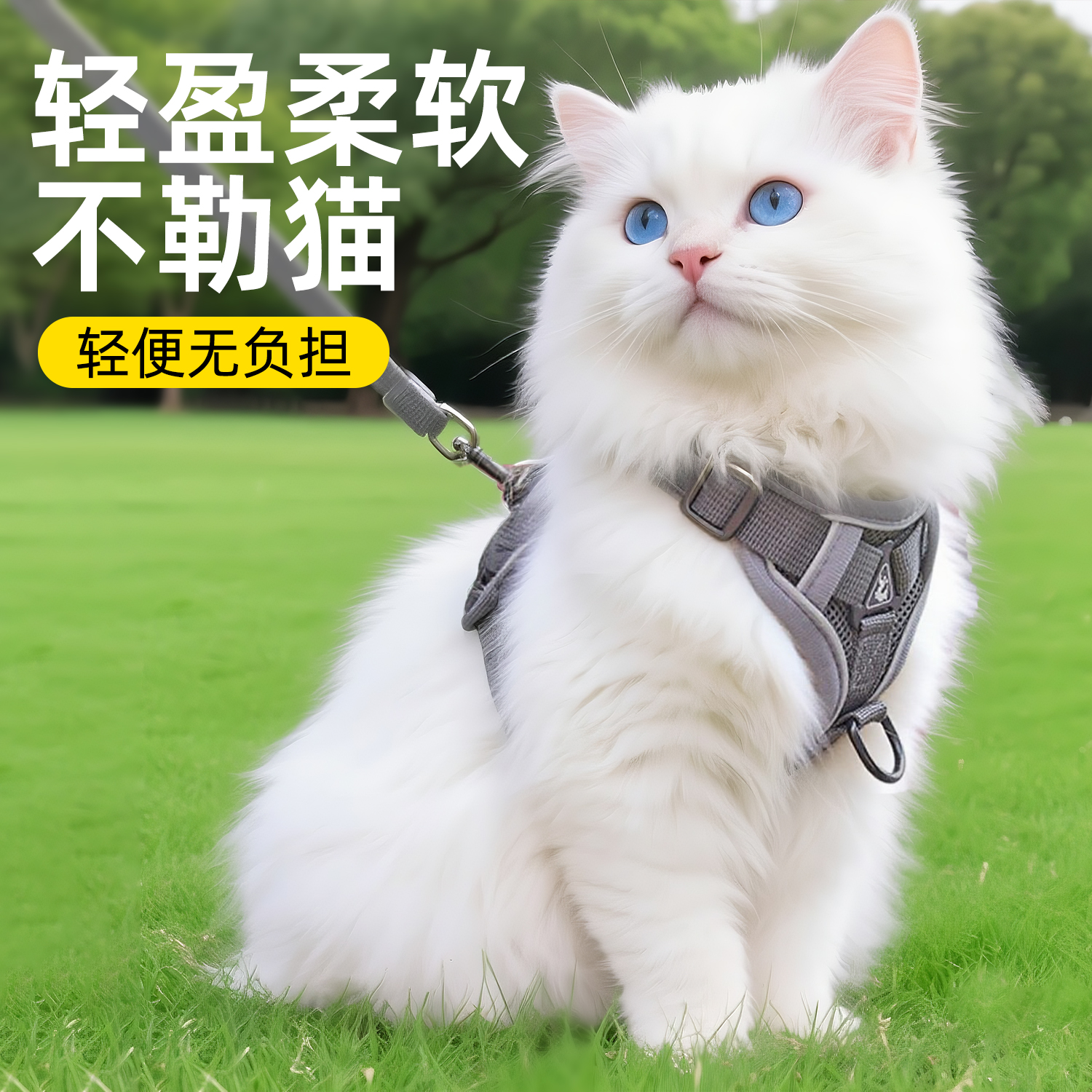 猫咪牵引绳防挣脱宠物外出专用