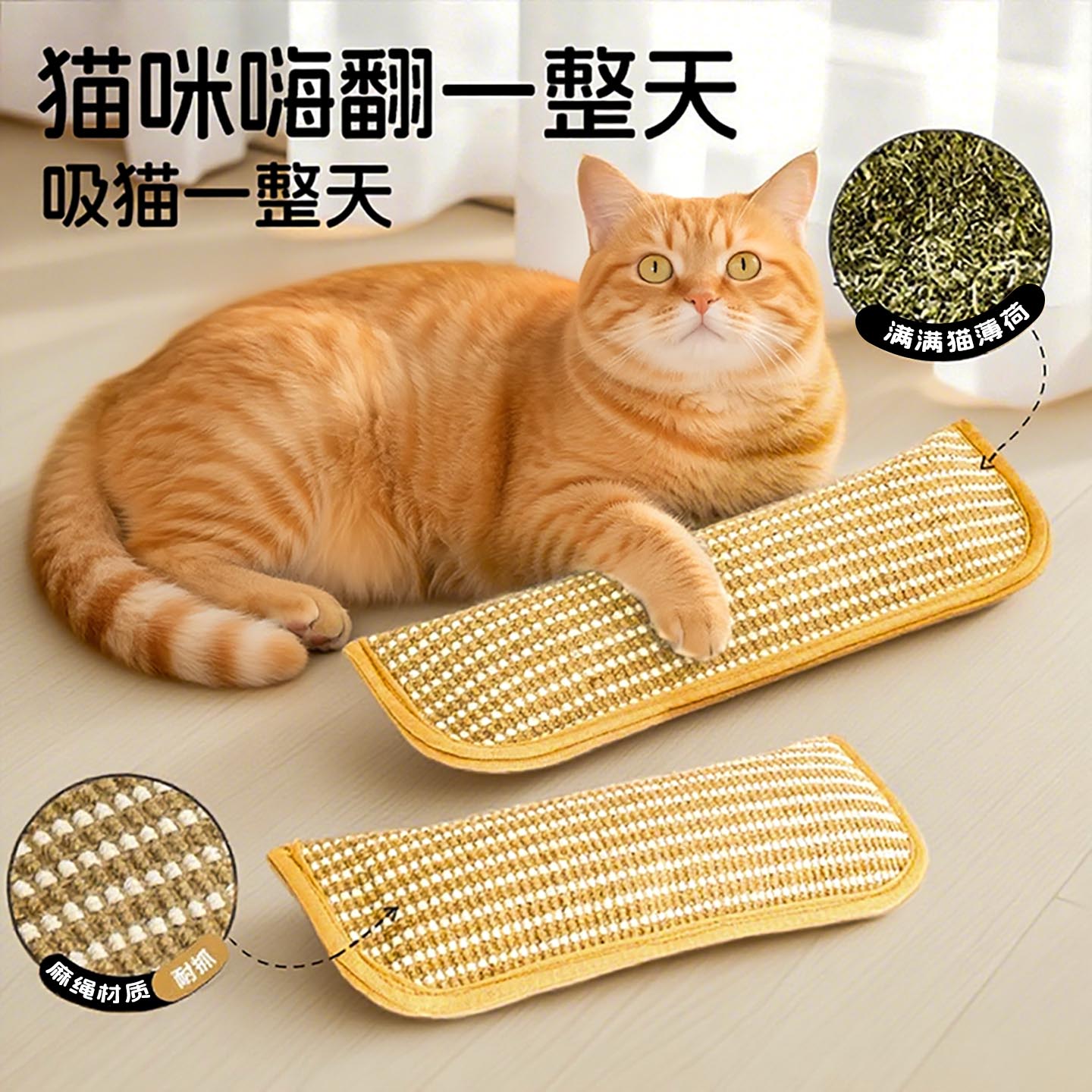 猫玩具猫薄荷猫抓板磨牙洁齿