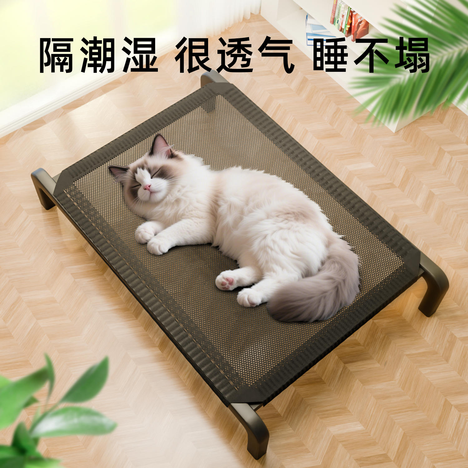 夏季猫窝离地防潮宠物猫咪行军床