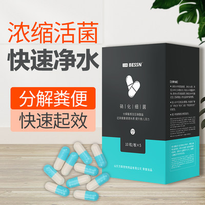 鱼缸硝化细菌培养系统净化水质