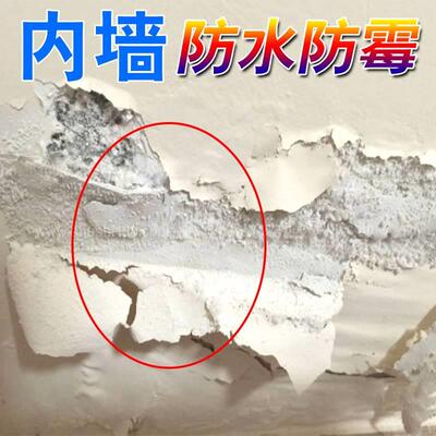 墙面起碱起皮脱落修补剂防水防潮防霉涂料背水面内墙潮湿渗水返潮