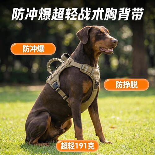 狗狗胸背带品特链条限时促销