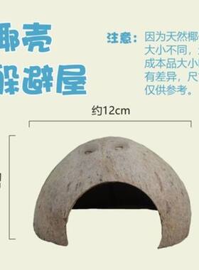 寄居蟹椰壳躲避物造景攀爬