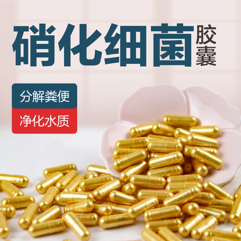 胶囊硝化细菌散装鱼缸水质净化水族观赏鱼消化菌株粉稳定剂清澈剂