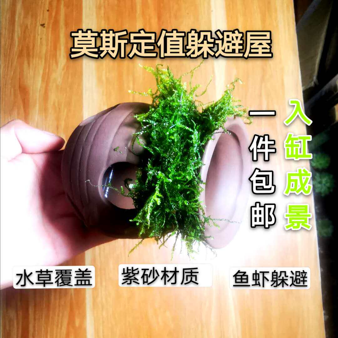 Moss Shrimp nest fish tank Fish avoid Multiplication Spawning decorate Landscaping Small fish Ceramic pot Housein the Pet/Pet food and supplies , Aqua World , Aquarium fish tanks and other equipment , Landscaping/Decoration  category - from Buy2taobao.com to provide professional Taobao agent buy service