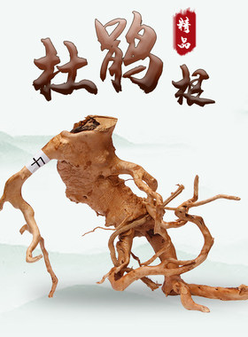 攀爬一物一拍天然森林木头杜鹃根