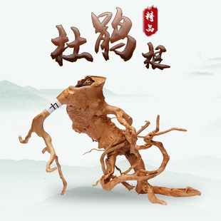 寄居蟹攀爬杜鹃根摆件一物一拍鱼缸天然造景森林木头小号枯木树桩
