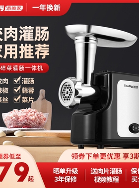 Tenfly家用电动绞肉机多功能碎肉小型商用绞馅搅肉香肠灌肠机