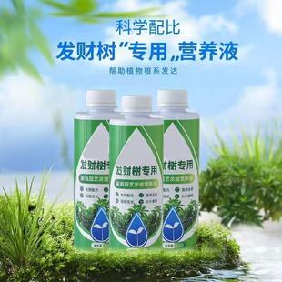 Q发财树营养液专用液黄叶烂根急救水培绿植物家用盆栽发财树专用