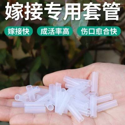 嫁接套管柔性防水空心老桩嫁接小苗花苗西瓜月季嫁接枝条