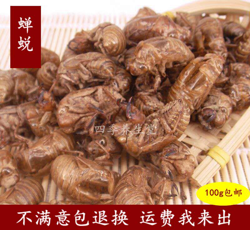中药材无硫蝉蜕新货蝉衣知了壳蝉脱自然脱落干净无杂质100克包邮