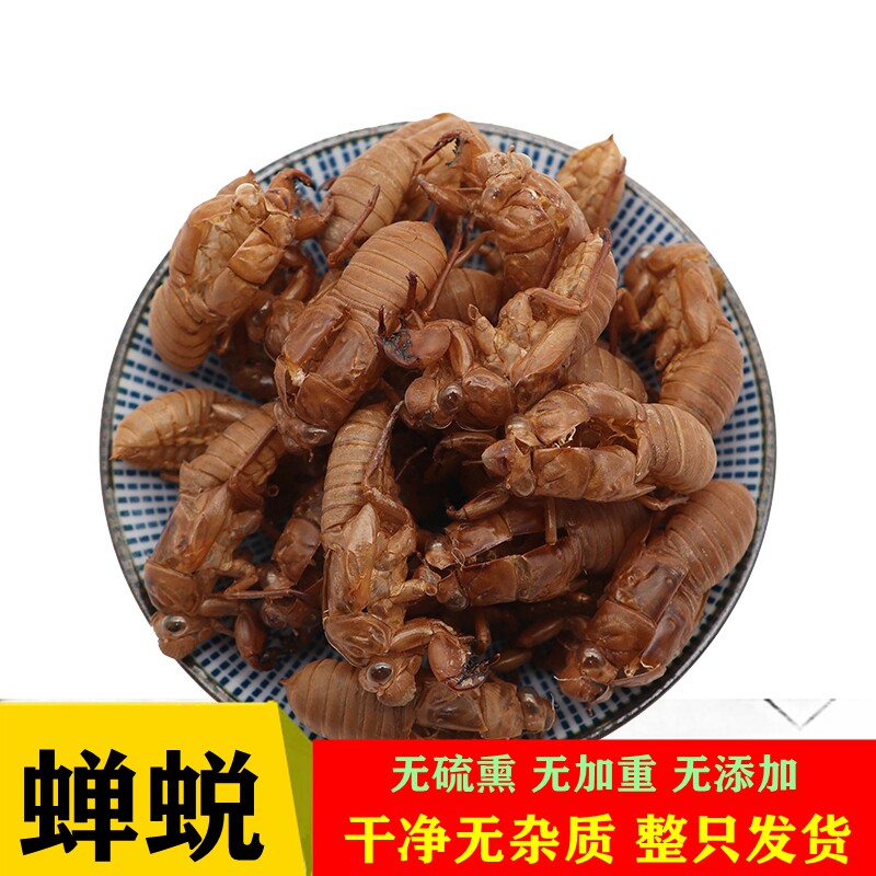 中药材野生蝉蜕10g起蝉脱金蝉衣金蝉壳蝉皮壳蝉衣知了皮知了壳粉