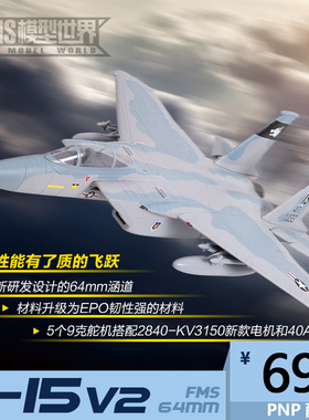 FMS 64MM F15 V2升级版 EPO 灰迷 涵道飞机 遥控模型飞机 战斗机