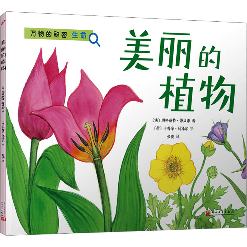 新华书店正版 绘本