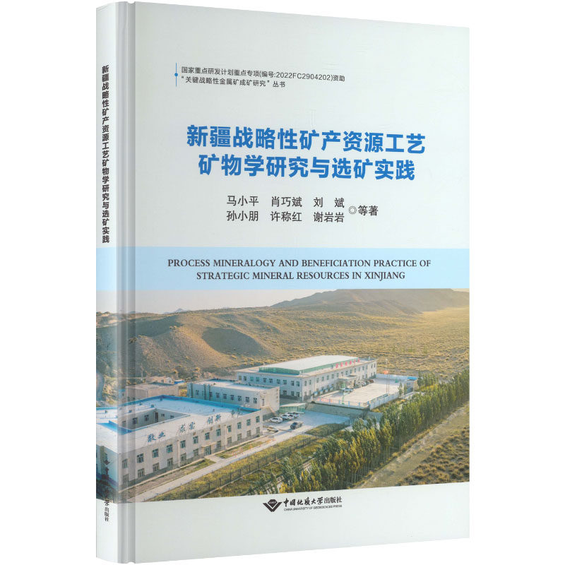 新疆战略性矿产资源工艺矿物学研究与选矿实践 马小平等著 地质学专业科技 新华书店正版图书籍 中国地质大学出版社 - 实物图