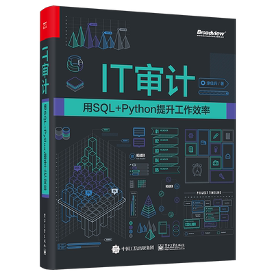 IT审计 用SQL+Python提升工作效率 涂佳兵 著 数据库专业科技 新华书店正版图书籍 电子工业出版社
