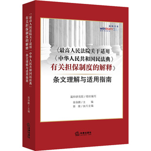 最高人民法院关于适用＜中华人民共和国民法典＞有关担保制度 编 解释 蒋保鹏 民法社科 条文理解与适用指南