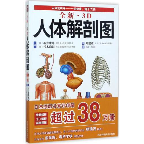 新华书店正版 外科
