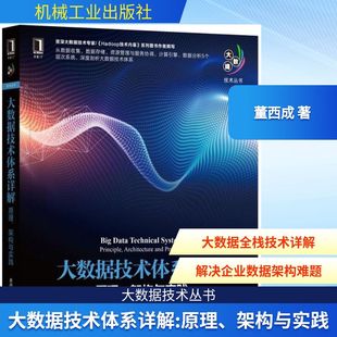 图书籍 社 董西成 新 专业科技 程序设计 架构与实践 著 机械工业出版 大数据技术体系详解 新华书店正版 原理