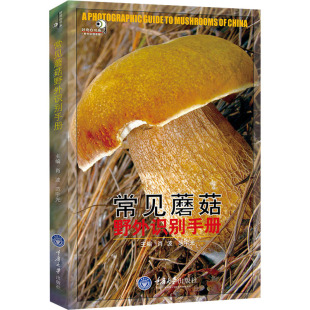 编 大学教材专业科技 新华书店正版 常见蘑菇野外识别手册 重庆大学出版 范宇光 图书籍 社 肖波