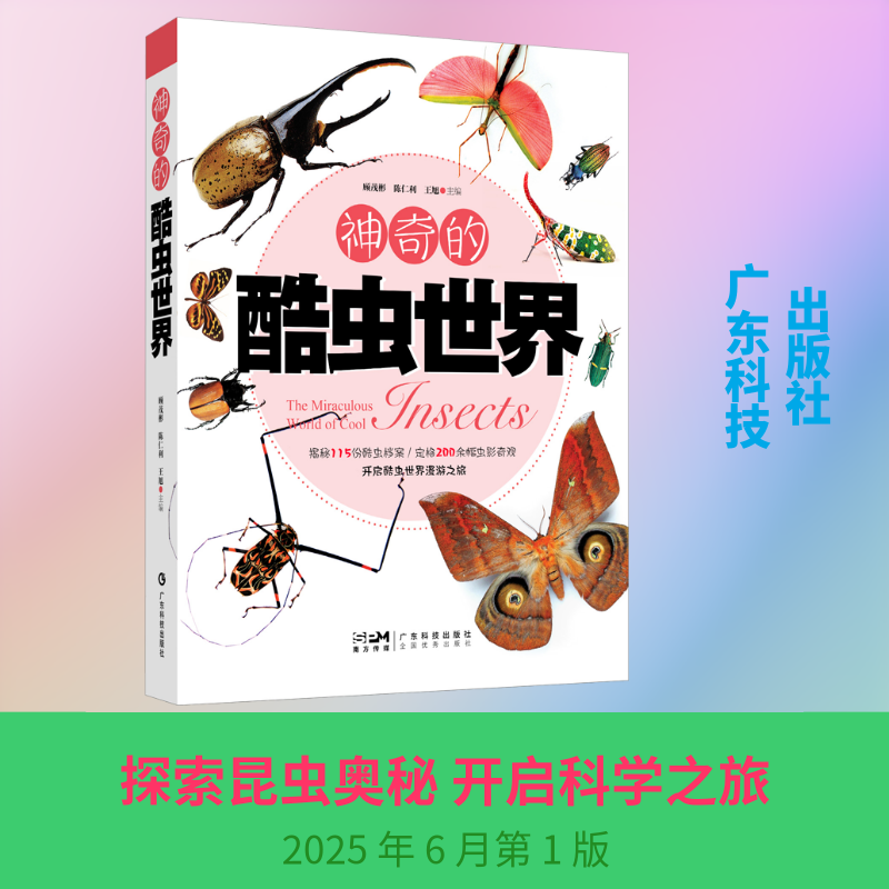 神奇的酷虫世界 顾茂彬,陈仁利,王旭 主编 编 科普百科专业科技 新华书店正版图书籍 广东科技出版社