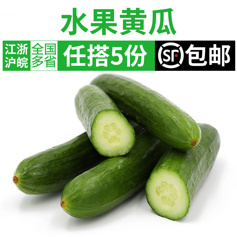 新鲜水果黄瓜500g 荷兰迷你小黄瓜蔬菜沙拉食材色拉配料 5件包邮 水产肉类/新鲜蔬果/熟食 黄瓜 原图主图