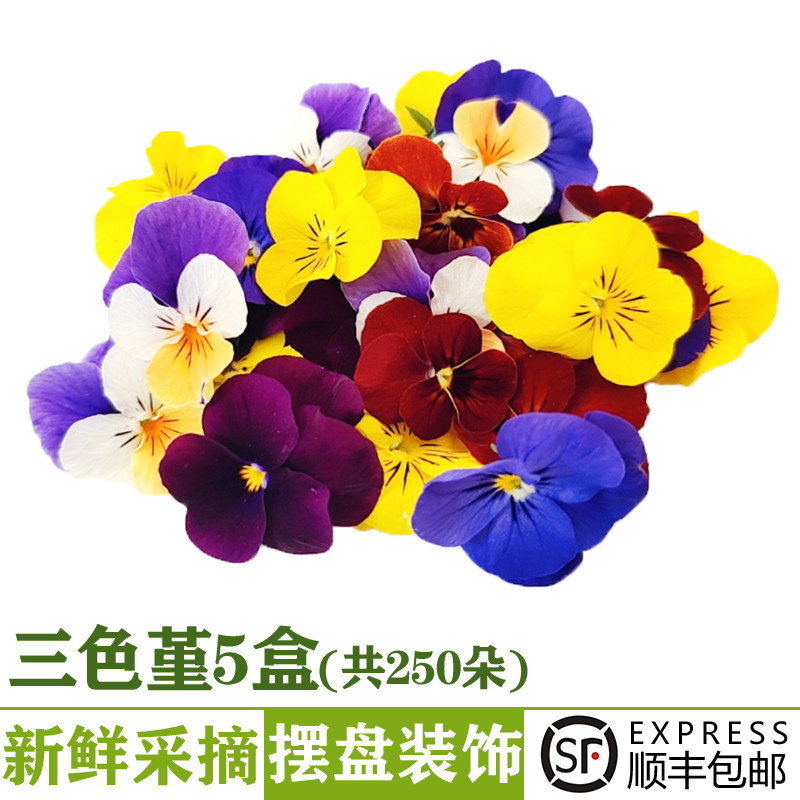 新鲜三色堇250朵 可食用鲜花西餐甜品烘培蛋糕摆盘装饰点缀花草