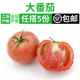 新鲜大番茄500g 包邮 生吃大西红柿农家自种蔬菜现摘自然熟 5件
