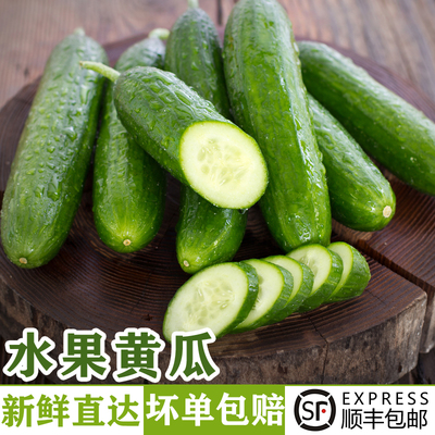 新鲜水果黄瓜1-5斤无刺小青瓜