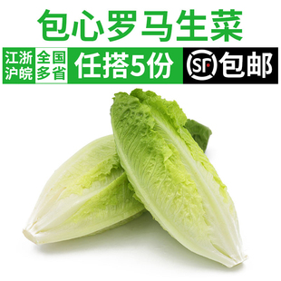 包邮 新鲜包心罗马生菜250g 罗纹生菜西餐沙拉蔬菜食材色拉菜 5件