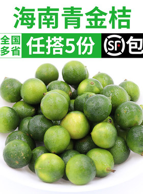新鲜海南小青桔茶饮奶茶店用水果