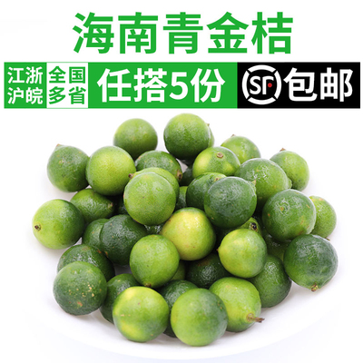 新鲜海南小青桔茶饮奶茶店用水果