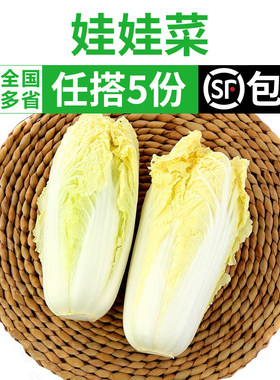 新鲜蔬菜娃娃菜火锅烧烤食用配菜