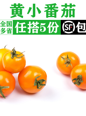 黄色小番茄450g 新鲜水果圣女果小西红柿生吃沙拉食材蔬菜
