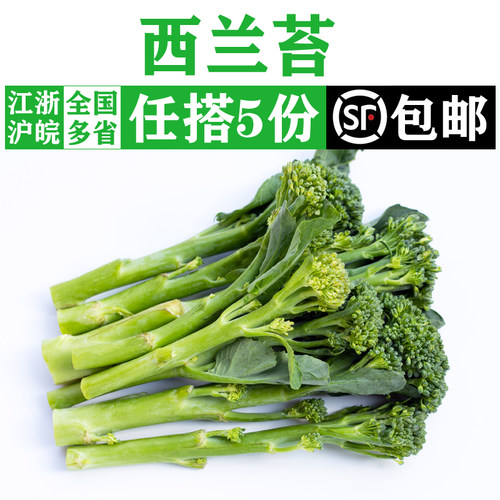 新鲜西兰苔青花台农家时令蔬菜