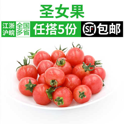 新鲜圣女果小番茄小西红柿